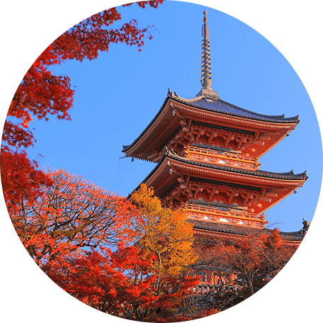 京都レンタル着物じゅぱん 清水寺写真